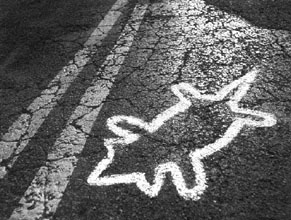 Roadkill???