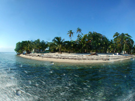 reef