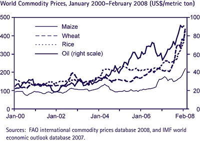 FAO/IMF