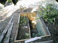 coldframe