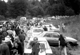 Headwaters forest rally - protest to save old growth redwoods